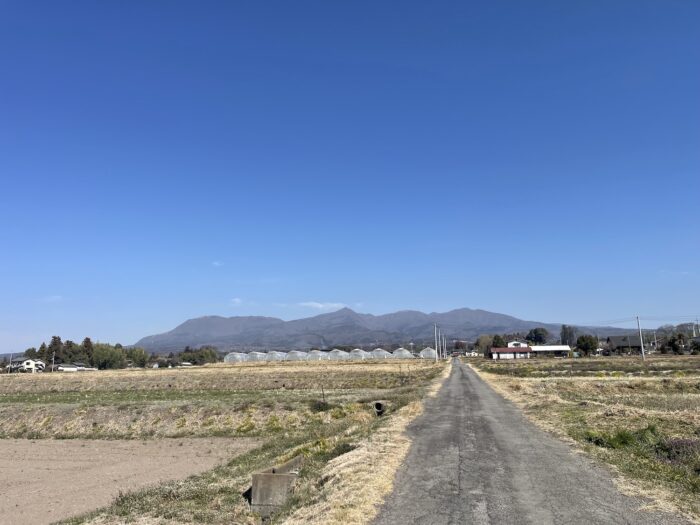 3月17日(火)　AM 9:36　前橋市苗ケ島町