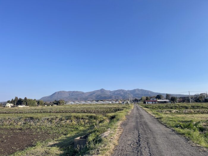 4月3日(金)　AM 6:44　前橋市苗ケ島町