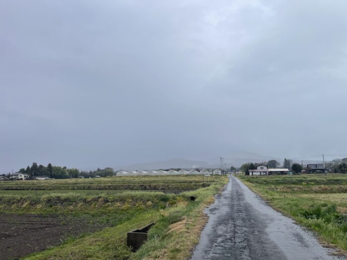 4月2日(木)　AM 7:47　前橋市苗ケ島町