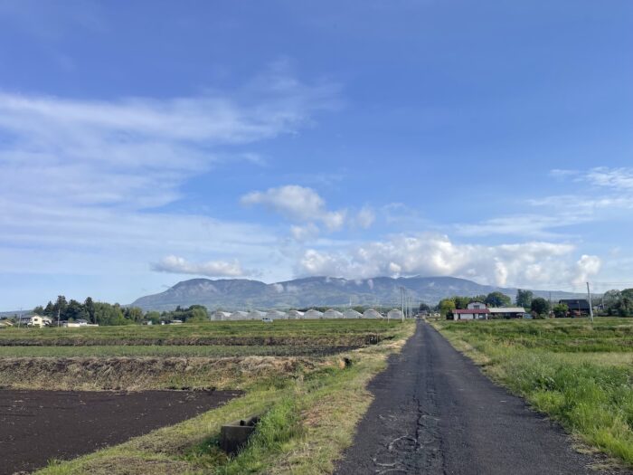 4月24日(金)　AM 7:04　前橋市苗ケ島町