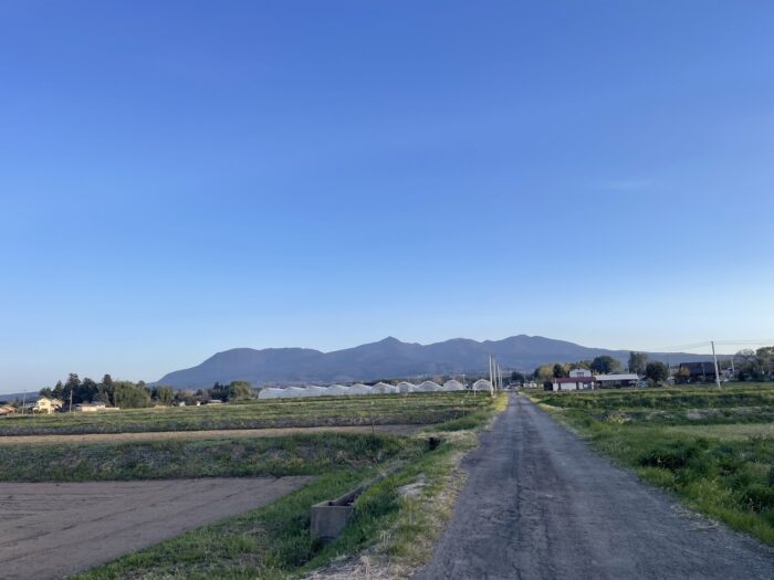 4月12日(日)　AM 5:51　前橋市苗ケ島町