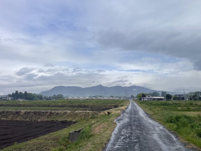 4月21日(火)　AM 8:23　前橋市苗ケ島町