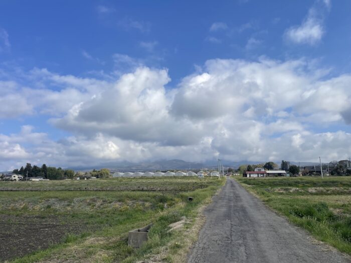 4月6日(月)　AM 8:04　前橋市苗ケ島町