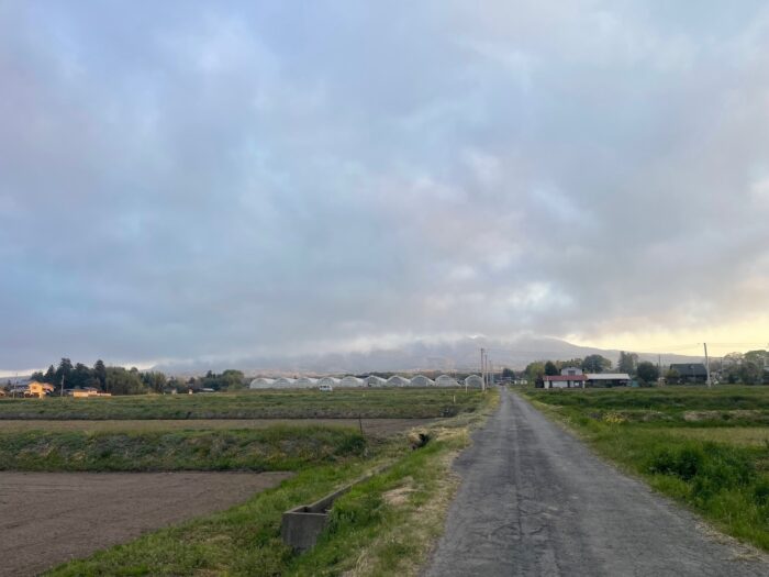 4月14日(火)　AM 5:30　前橋市苗ケ島町