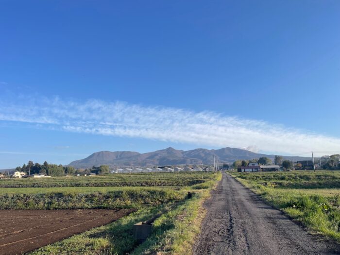 4月11日(土)　AM 6:25　前橋市苗ケ島町