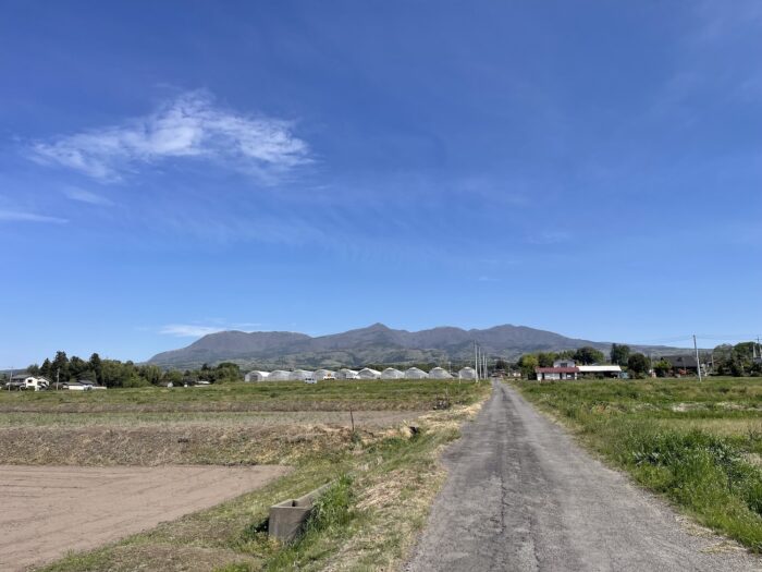 4月22日(水)　AM 9:05　前橋市苗ケ島町