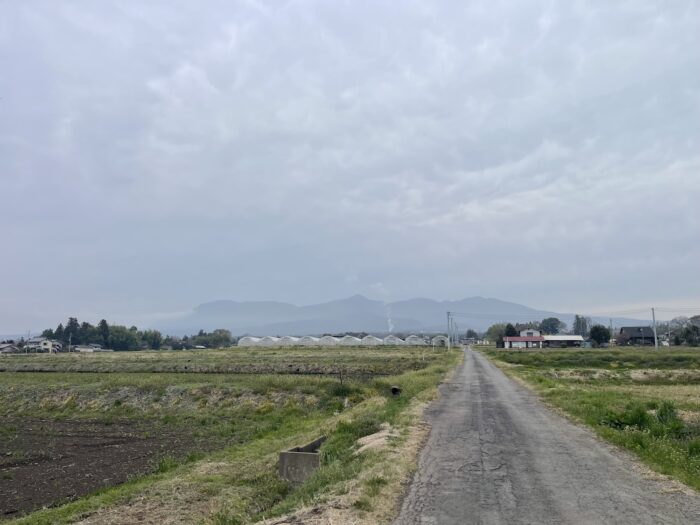 4月4日(土)　AM 8:03　前橋市苗ケ島町