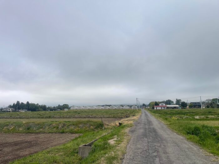 4月17日(金)　AM 6:04　前橋市苗ケ島町