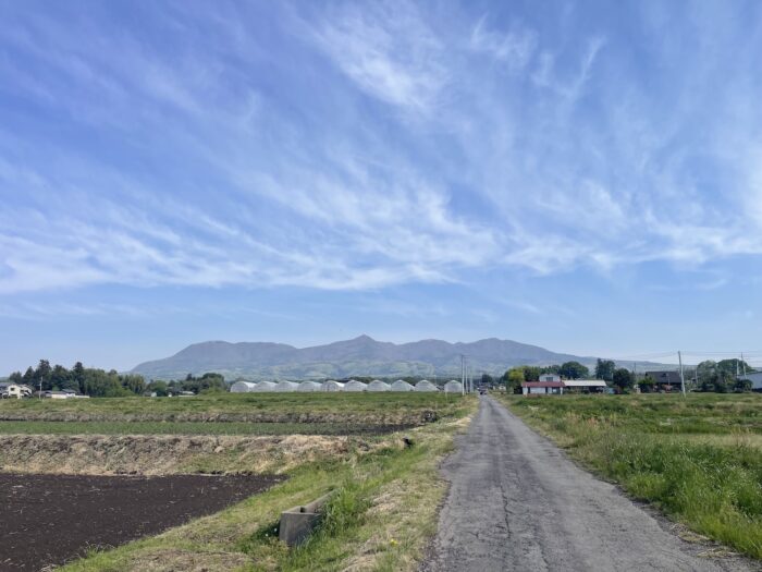 4月28日(火)　AM 8:26　前橋市苗ケ島町