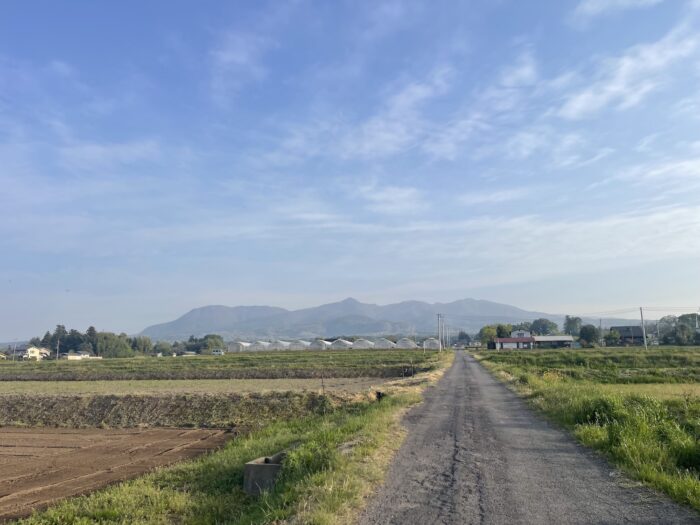 4月20日(月)　AM 6:20　前橋市苗ケ島町