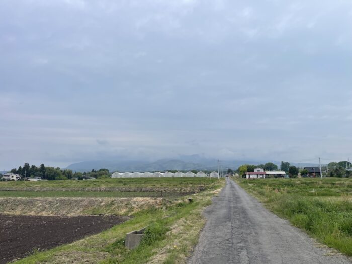 4月29日(水)　AM 8:27　前橋市苗ケ島町