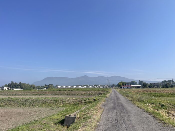 5月16日(土)　AM 8:07　前橋市苗ケ島町