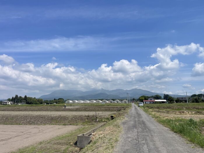 5月27日(水)　AM 9:49　前橋市苗ケ島町