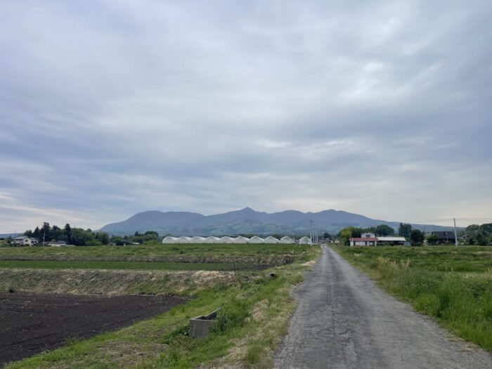 5月3日(日)　AM 6:47　前橋市苗ケ島町