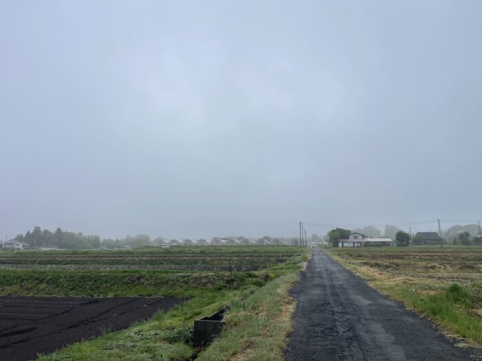 5月22日(金)　AM 7:00　前橋市苗ケ島町
