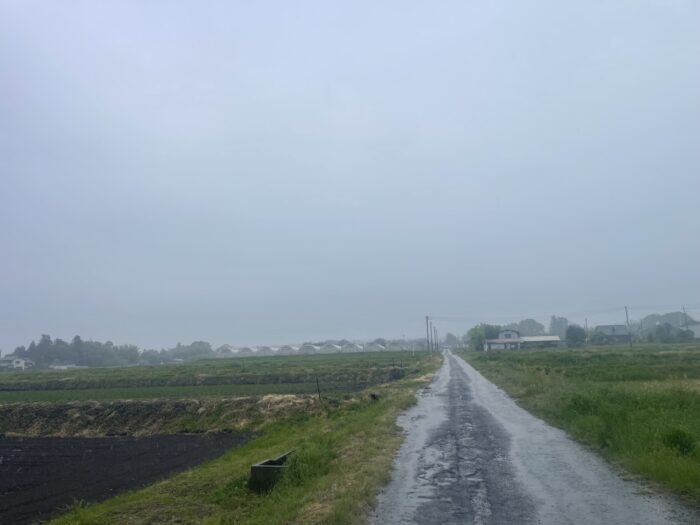 5月1日(金)　AM 7:04　前橋市苗ケ島町