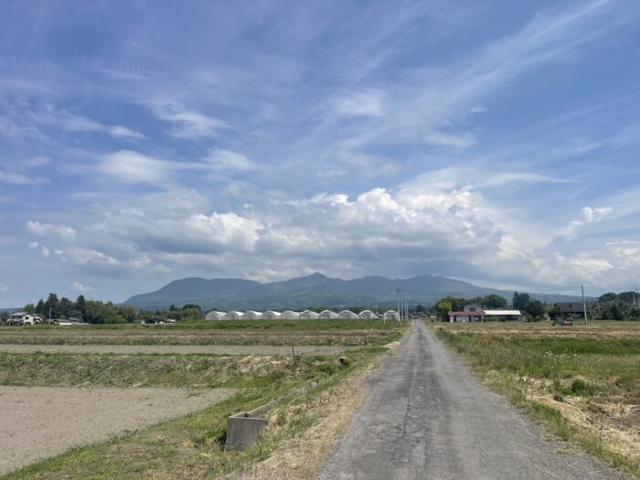 5月13日(水)　AM 8:48　前橋市苗ケ島町