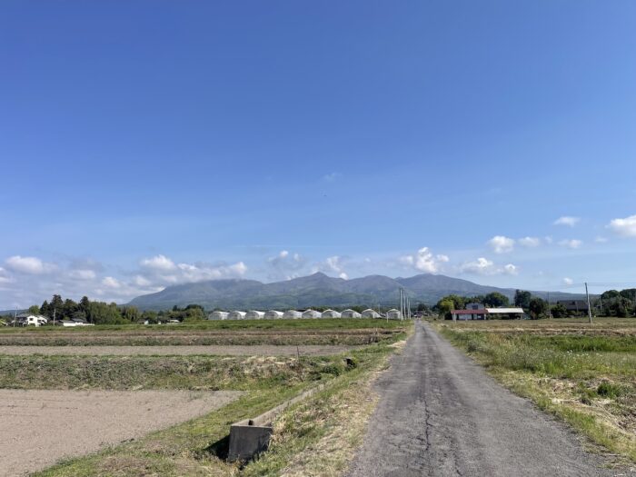 5月11日(月)　AM 8:04　前橋市苗ケ島町