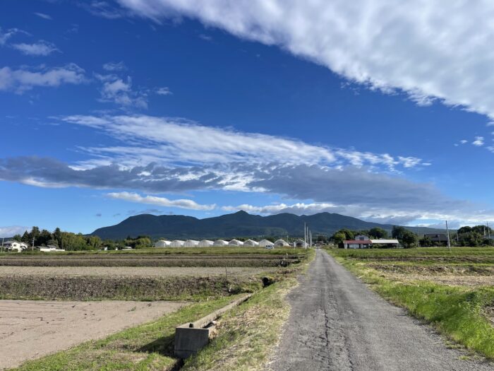 5月29日(金)　AM 7:00　前橋市苗ケ島町