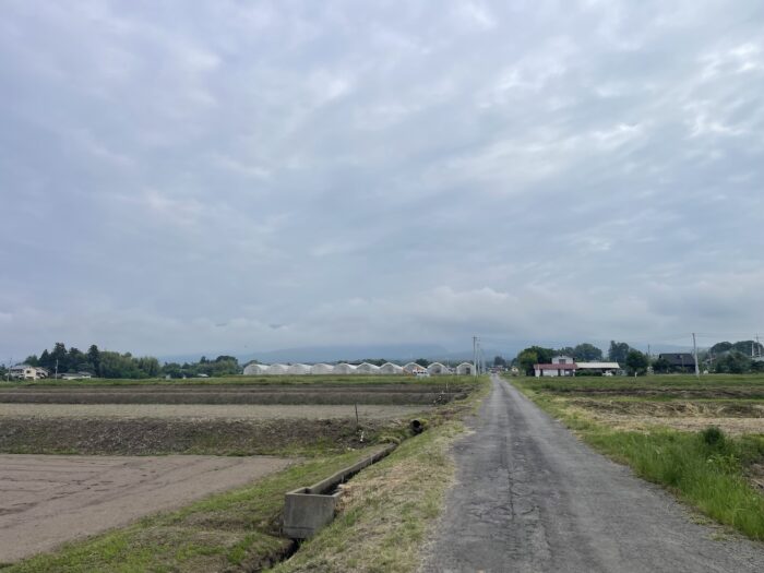 5月28日(木)　AM 6:31　前橋市苗ケ島町
