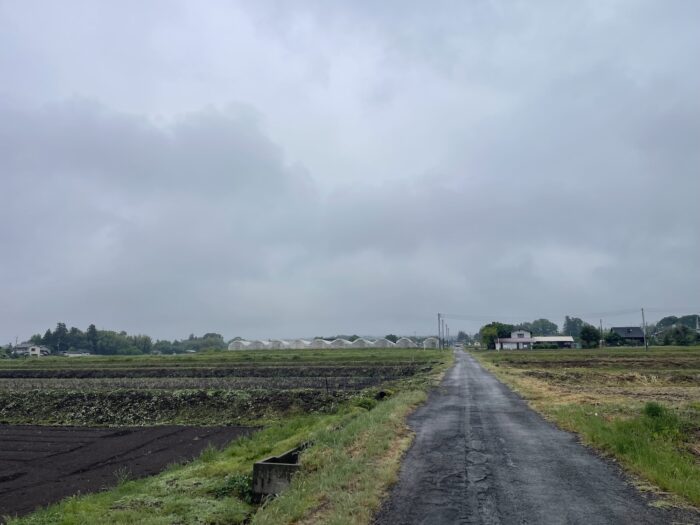 5月23日(土)　AM 7:52　前橋市苗ケ島町