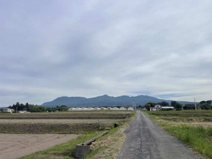 5月31日(日)　AM 6:50　前橋市苗ケ島町