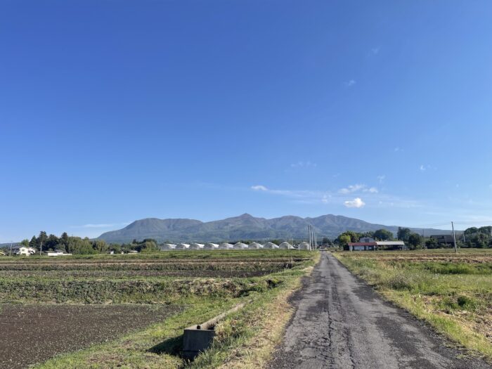 5月14日(木)　AM 7:03　前橋市苗ケ島町