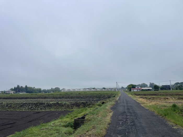 5月24日(日)　AM 8:09　前橋市苗ケ島町
