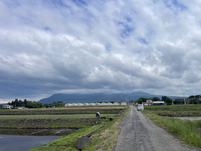 6月5日(金)　AM 8:52　前橋市苗ケ島町