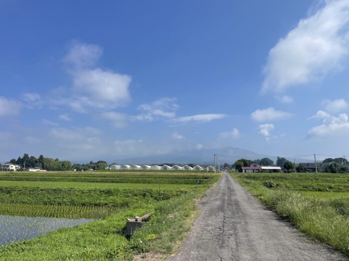6月19日(金)　AM 8:19　前橋市苗ケ島町