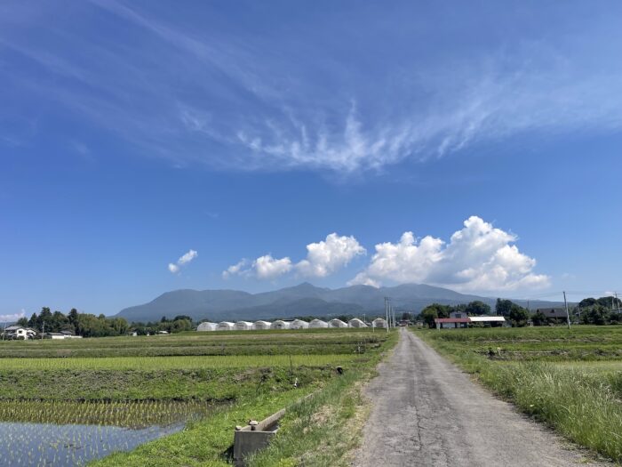 6月13日(土)　AM 9:08　前橋市苗ケ島町