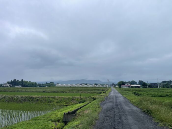 6月28日(日)　AM 8:53　前橋市苗ケ島町