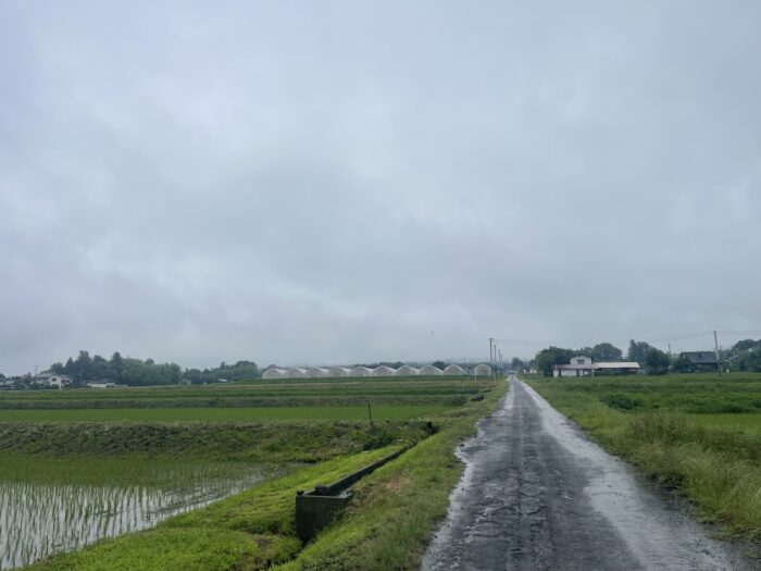 6月26日(金)　AM 8:14　前橋市苗ケ島町