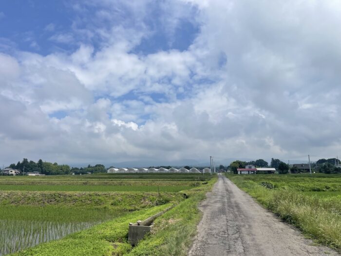 6月29日(月)　AM 9:37　前橋市苗ケ島町