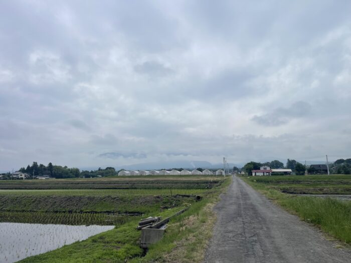 6月7日(日)　AM 9:02　前橋市苗ケ島町