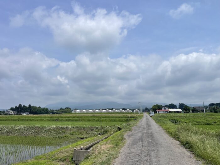 6月24日(水)　AM 10:07　前橋市苗ケ島町