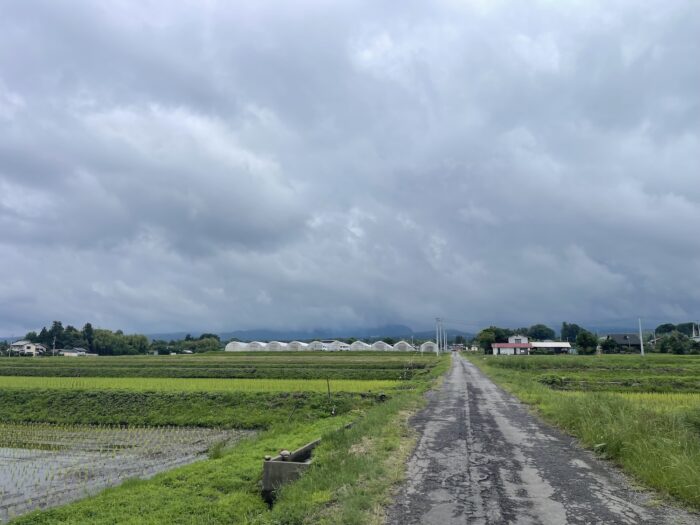 6月15日(月)　AM 9:03　前橋市苗ケ島町