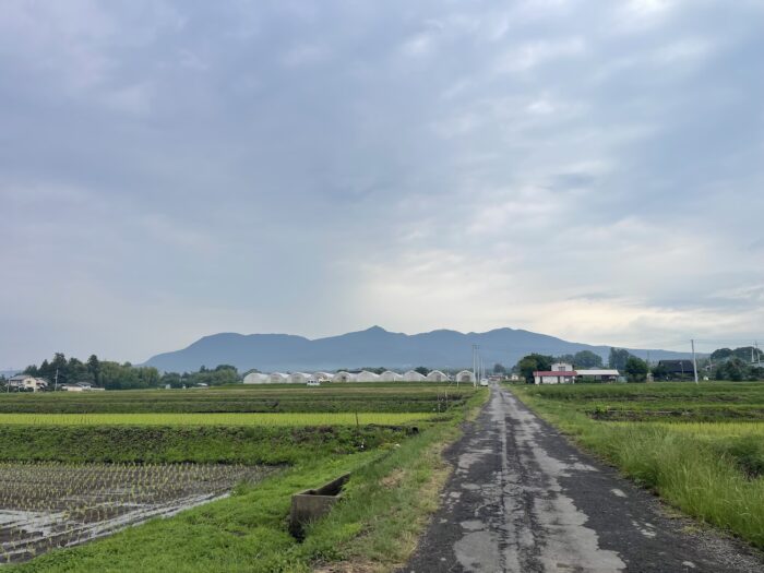 6月12日(金)　AM 6:56　前橋市苗ケ島町