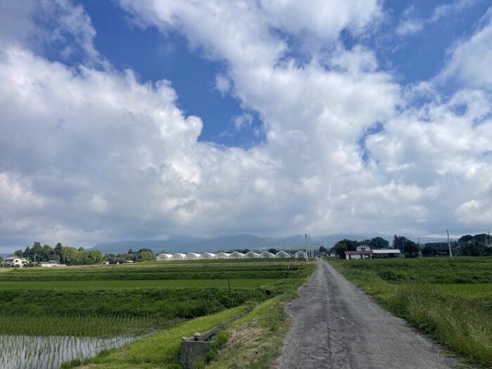 6月23日(火) AM 8:31 前橋市苗ケ島町