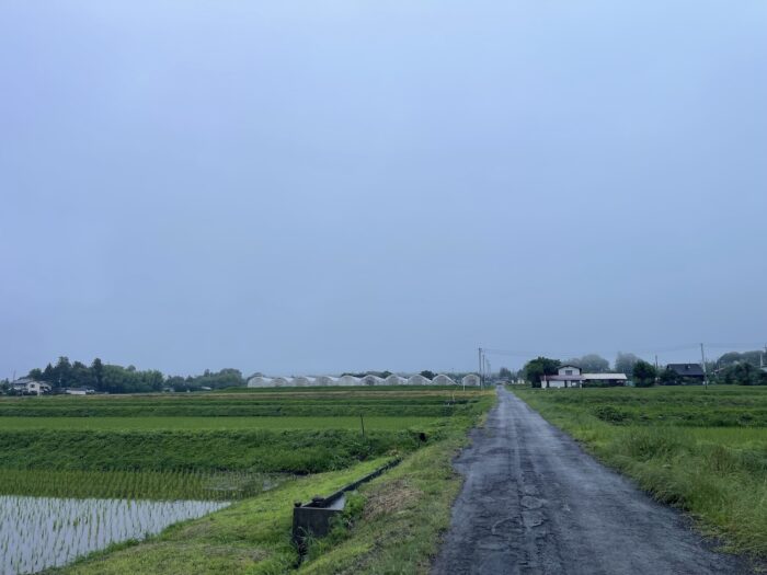 6月21日(日) AM 6:57 前橋市苗ケ島町
