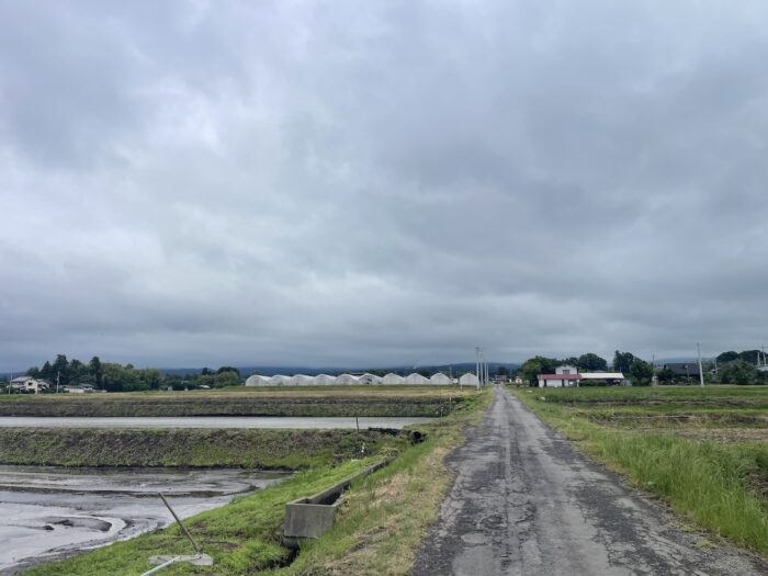 6月4日(木)　AM 8:53　前橋市苗ケ島町