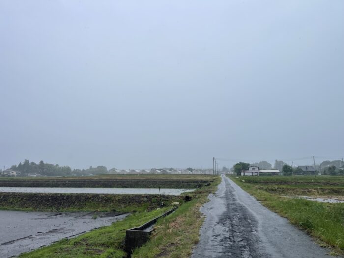 6月3日(水)　AM 9:44　前橋市苗ケ島町