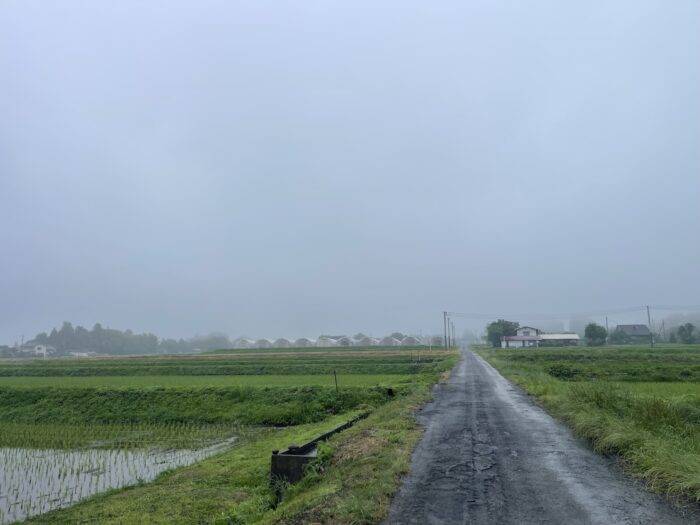 6月20日(土)　AM 7:52　前橋市苗ケ島町