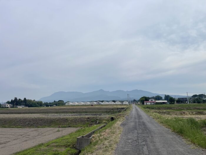 6月2日(火)　AM 8:14　前橋市苗ケ島町