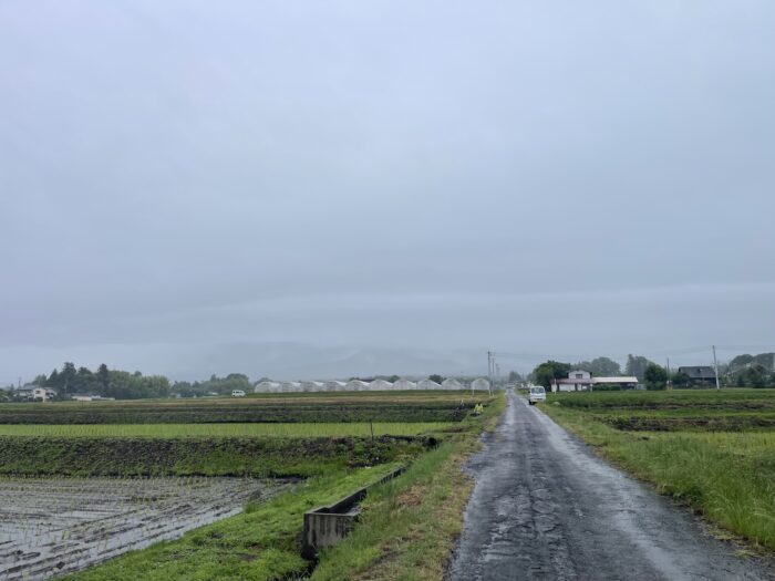 6月8日(月)　AM 6:57　前橋市苗ケ島町