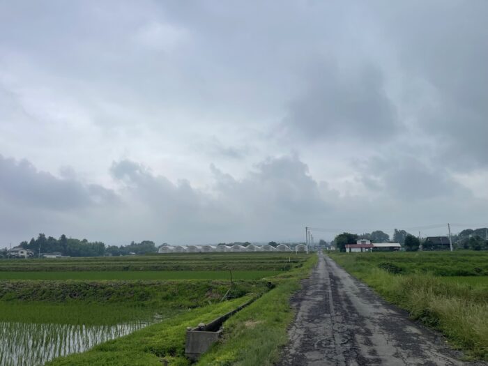 6月30日(火)　AM 9:34　前橋市苗ケ島町