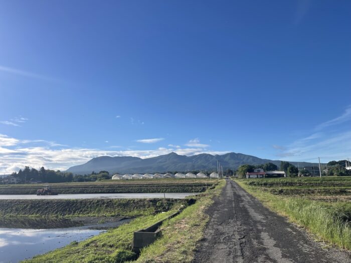 6月3日(水)　PM 5:01　前橋市苗ケ島町