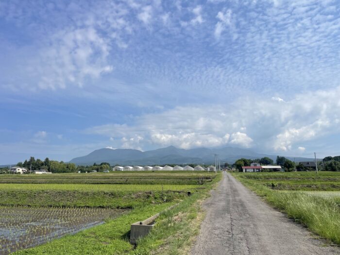 6月11日(木)　AM 8:27　前橋市苗ケ島町