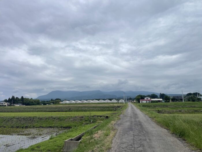 6月10日(水)　AM 9:14　前橋市苗ケ島町