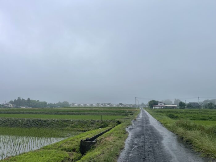 6月25日(木)　AM 9:19　前橋市苗ケ島町